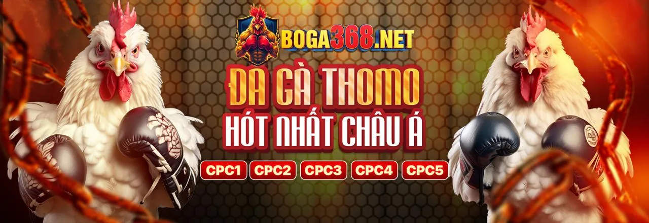 Hình ảnh đại diện cho an toàn và cá cược có trách nhiệm tại fm88 login